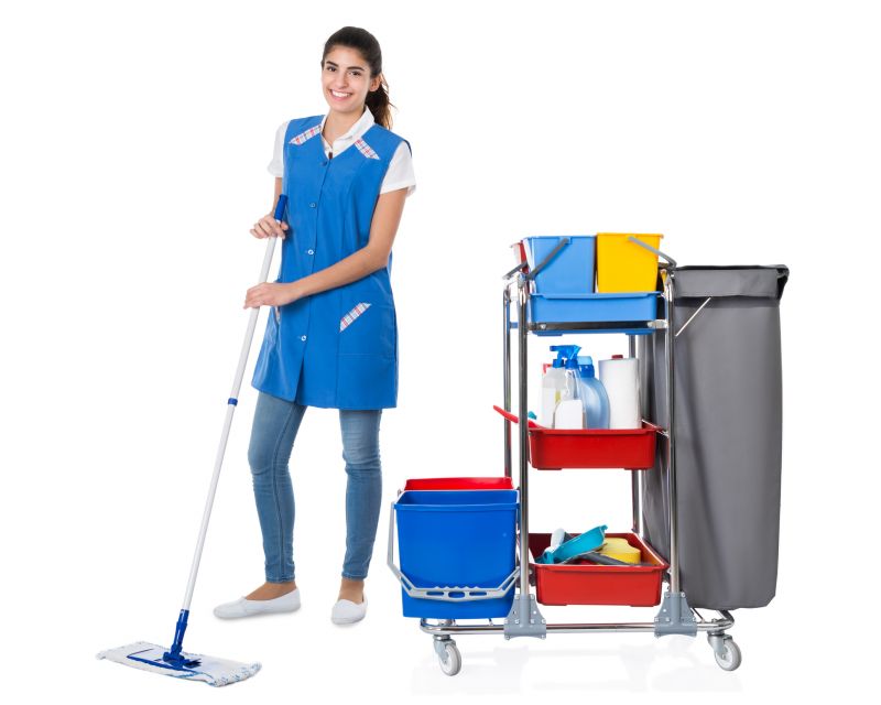 Janitorial Service detail